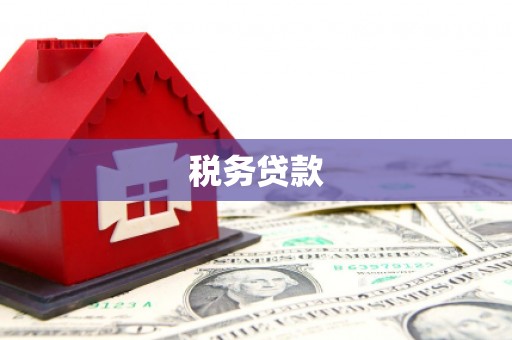 兴县税务贷款