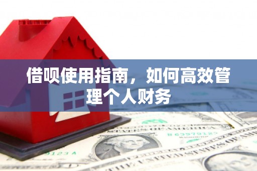 兴县借呗使用指南，如何高效管理个人财务