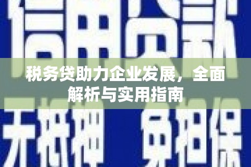兴县税务贷助力企业发展，全面解析与实用指南