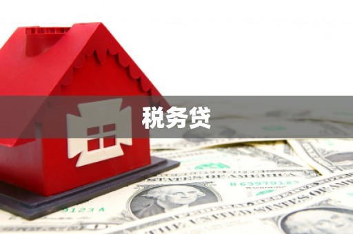 兴县税务贷
