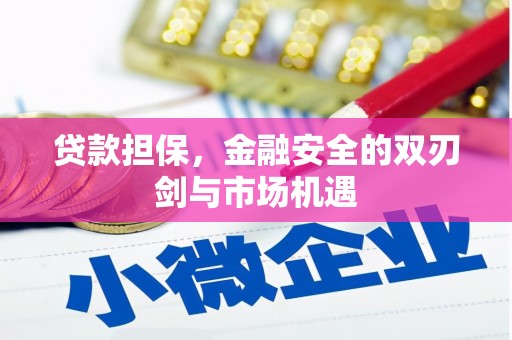 兴县贷款担保，金融安全的双刃剑与市场机遇
