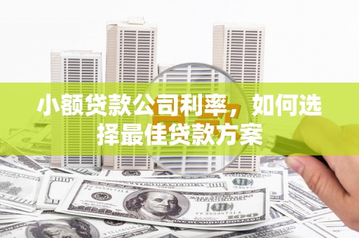 兴县小额贷款公司利率，如何选择最佳贷款方案