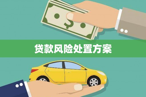 兴县贷款风险处置方案