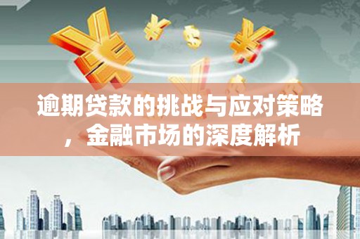 兴县逾期贷款的挑战与应对策略，金融市场的深度解析
