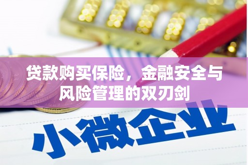 兴县贷款购买保险，金融安全与风险管理的双刃剑