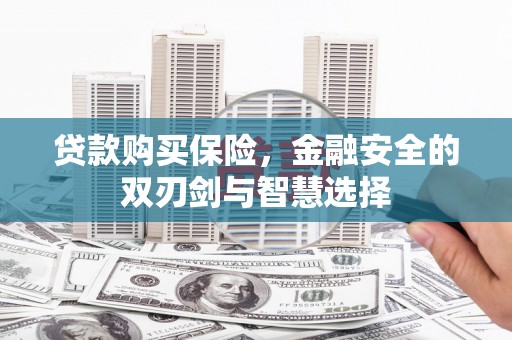 兴县贷款购买保险，金融安全的双刃剑与智慧选择
