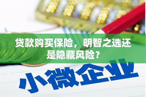 兴县贷款购买保险，明智之选还是隐藏风险？