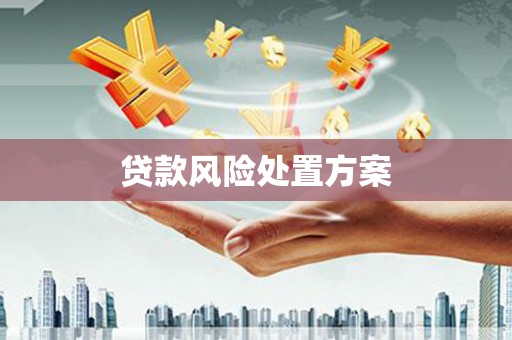 兴县贷款风险处置方案