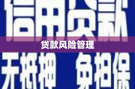 兴县贷款风险管理