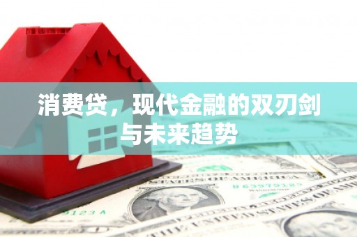 兴县消费贷，现代金融的双刃剑与未来趋势