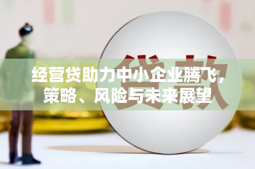 兴县经营贷助力中小企业腾飞，策略、风险与未来展望