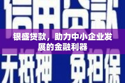 兴县银盛贷款，助力中小企业发展的金融利器