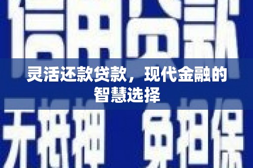 兴县灵活还款贷款，现代金融的智慧选择