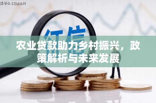 兴县农业贷款助力乡村振兴，政策解析与未来发展