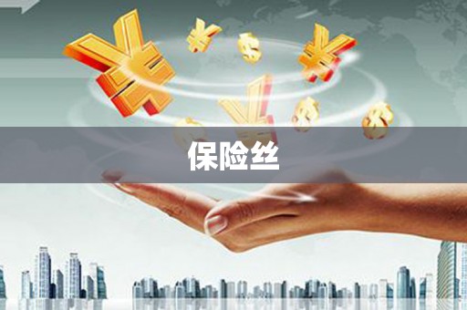 兴县保险丝