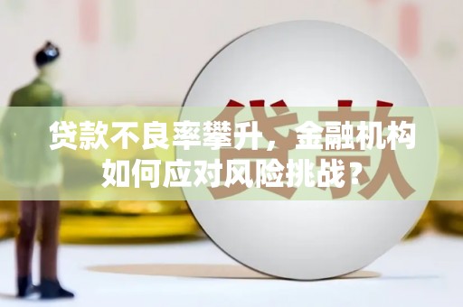 兴县贷款不良率攀升，金融机构如何应对风险挑战？