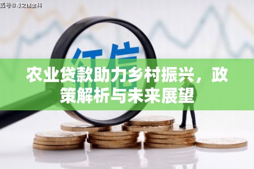 兴县农业贷款助力乡村振兴，政策解析与未来展望