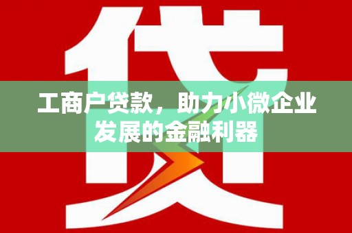 兴县工商户贷款，助力小微企业发展的金融利器