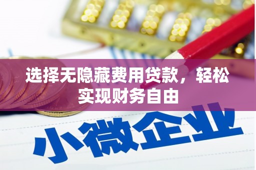 兴县选择无隐藏费用贷款，轻松实现财务自由