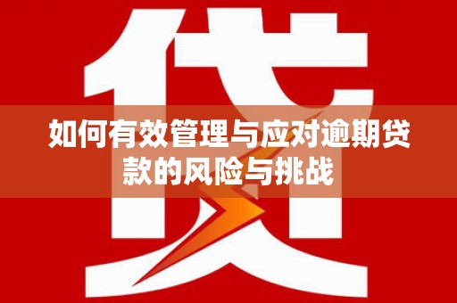 兴县如何有效管理与应对逾期贷款的风险与挑战