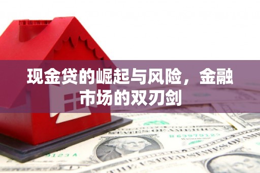 兴县现金贷的崛起与风险，金融市场的双刃剑