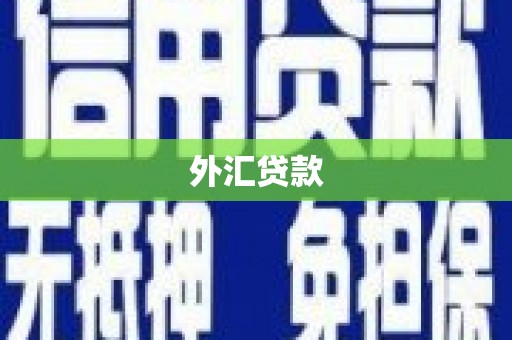 兴县外汇贷款