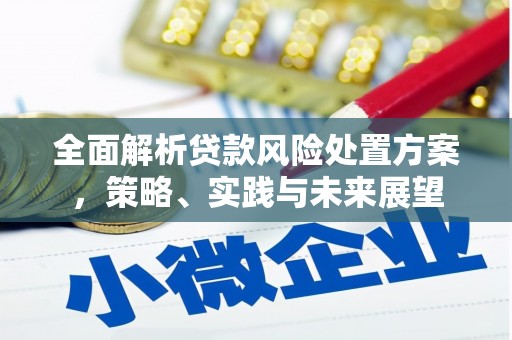 兴县全面解析贷款风险处置方案，策略、实践与未来展望