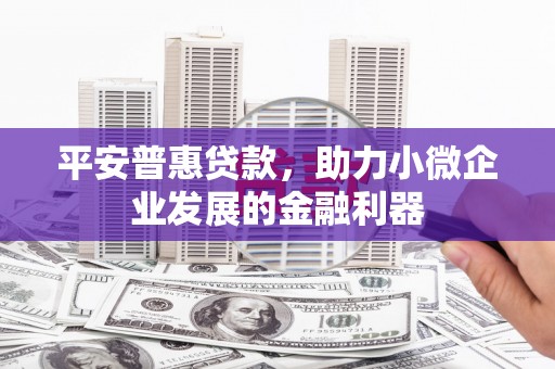 兴县平安普惠贷款，助力小微企业发展的金融利器