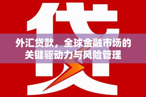 兴县外汇贷款，全球金融市场的关键驱动力与风险管理