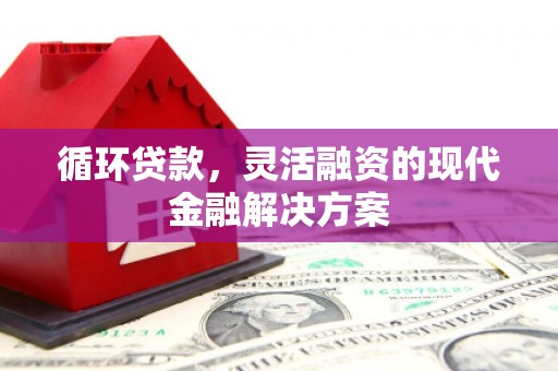 兴县循环贷款，灵活融资的现代金融解决方案