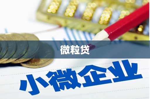 兴县微粒贷