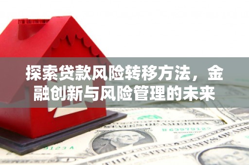 兴县探索贷款风险转移方法，金融创新与风险管理的未来