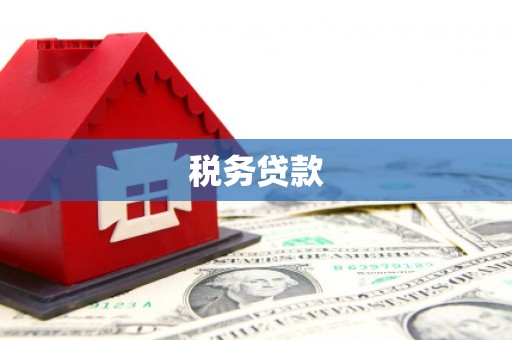 兴县税务贷款