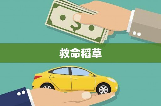 兴县救命稻草
