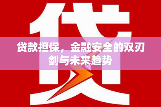 兴县贷款担保，金融安全的双刃剑与未来趋势