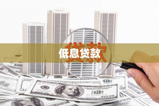 兴县低息贷款