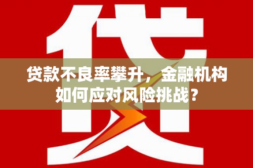 兴县贷款不良率攀升，金融机构如何应对风险挑战？