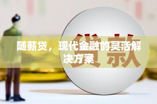 兴县随薪贷，现代金融的灵活解决方案