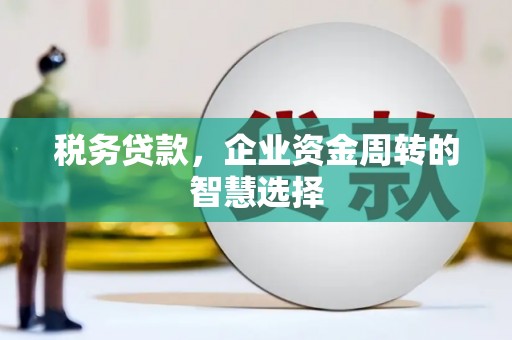 兴县税务贷款，企业资金周转的智慧选择