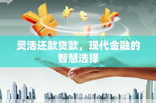 兴县灵活还款贷款，现代金融的智慧选择