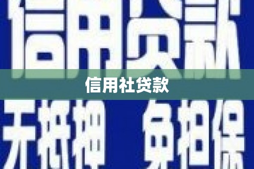 兴县信用社贷款