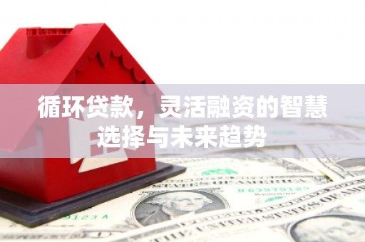 兴县循环贷款，灵活融资的智慧选择与未来趋势