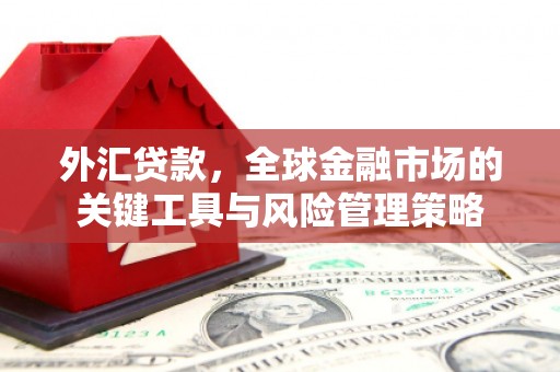 兴县外汇贷款，全球金融市场的关键工具与风险管理策略