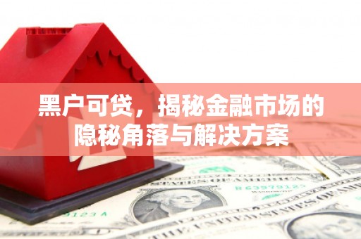 兴县黑户可贷，揭秘金融市场的隐秘角落与解决方案