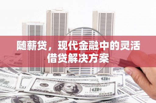 兴县随薪贷，现代金融中的灵活借贷解决方案