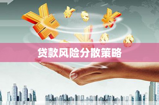 兴县贷款风险分散策略