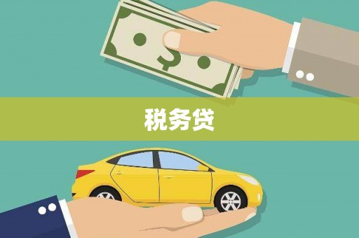兴县税务贷