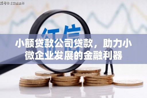 兴县小额贷款公司贷款，助力小微企业发展的金融利器