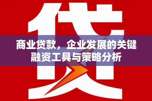 兴县商业贷款，企业发展的关键融资工具与策略分析