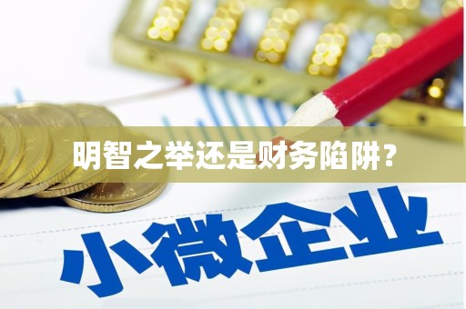 兴县明智之举还是财务陷阱？